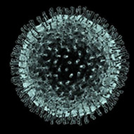 Virus example